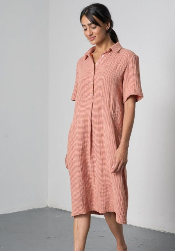 Alexa Small Rust Check Shirt Dress