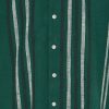 Solid disaie cilantro 1 Disai Cilantro Green Stripe Shirt