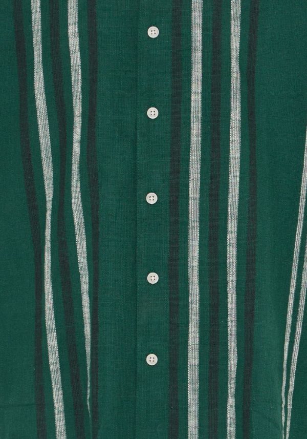 Solid disaie cilantro 1 Disai Cilantro Green Stripe Shirt