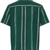 Solid disaie cilantro 2 Disai Cilantro Green Stripe Shirt