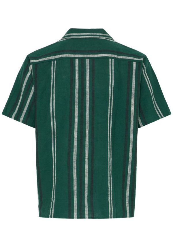Solid disaie cilantro 2 Disai Cilantro Green Stripe Shirt